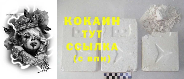 стаф Верея