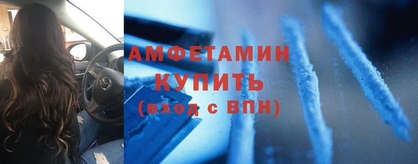 стаф Верея