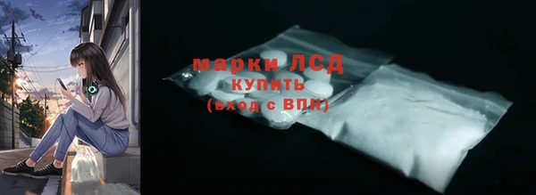 стаф Верея
