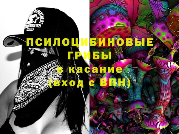 apvp Верхний Тагил