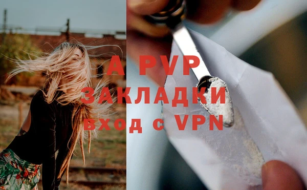 стаф Верея