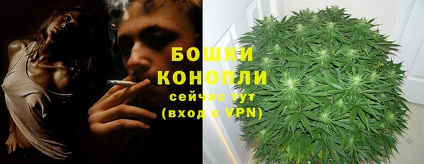 стаф Верея