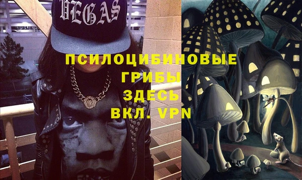 стаф Верея