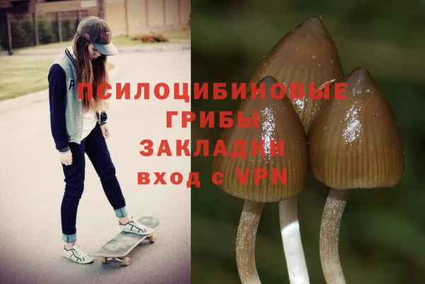 apvp Верхний Тагил