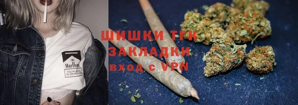 стаф Верея