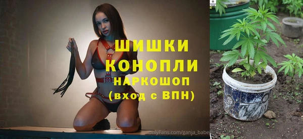 стаф Верея