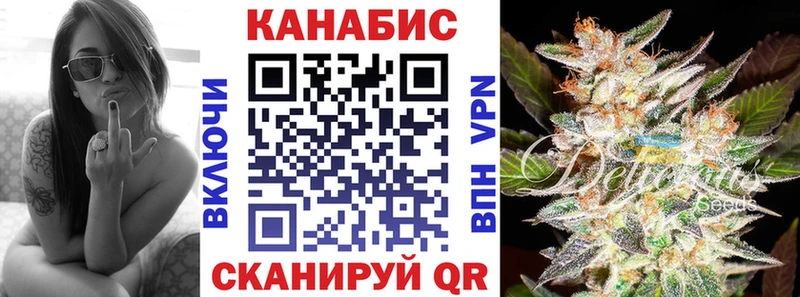Шишки марихуана марихуана  Петрозаводск 